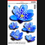 Naklejka AVISA - kwiatki niebieskie 23x30 cm