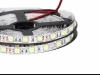 Taśma LED SMD 5050 biała neutalna 5m/300 diod IP20