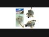 Mysz pluszowa z kocimiętką 7cm