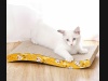 Drapak / leżak dla kota poziomy fala
