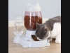 Automatyczny podajnik karmy wody dla kota psa xxl