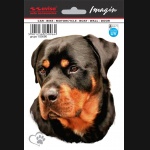 Naklejka AVISA - Pies - Rottweiler 11x13,5 cm HD UV
