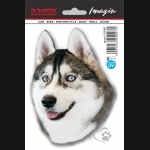 Naklejka AVISA - Pies - Husky 11x14,5 cm HD UV