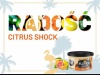 K2 FLORIDA SCENT CITRUS SHOCK  Odświeżacz powietrza w puszce