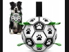 Zabawka dla psa piłka futbolowa zuchwytami 14cm