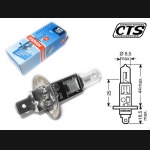 Żarówka H1 12V 55W OSRAM (1szt.)